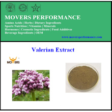 Factory Supply High Quality Valerian Root Extract